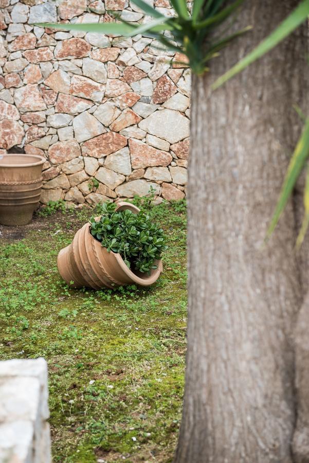 Zen Serenity Retreat With Great Outdoors, Pool & Parking Aptera Extérieur photo